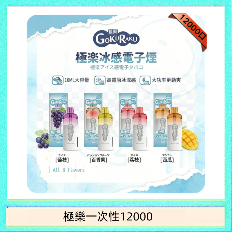 【8種口味】極楽 12000口一次性電子煙|超大容量 |口感絲滑|新品